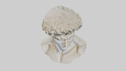 Michelangelos David bust model VR / AR / low-poly