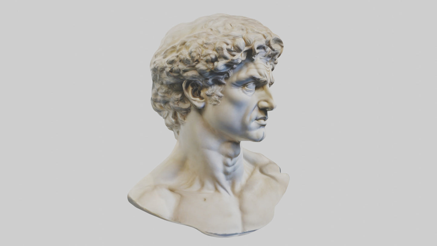 Michelangelos David bust model VR / AR / low-poly