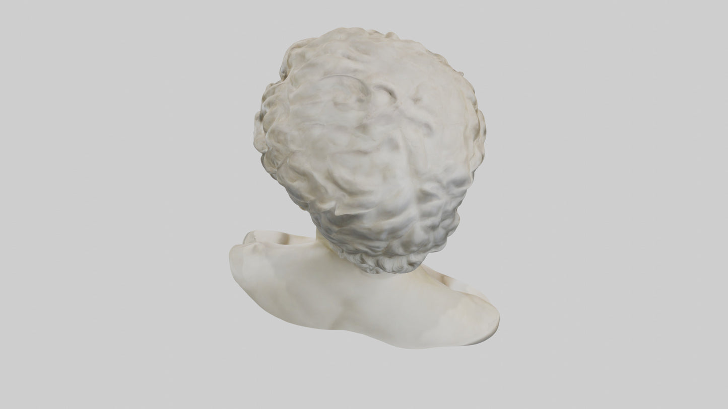 Michelangelos David bust model VR / AR / low-poly