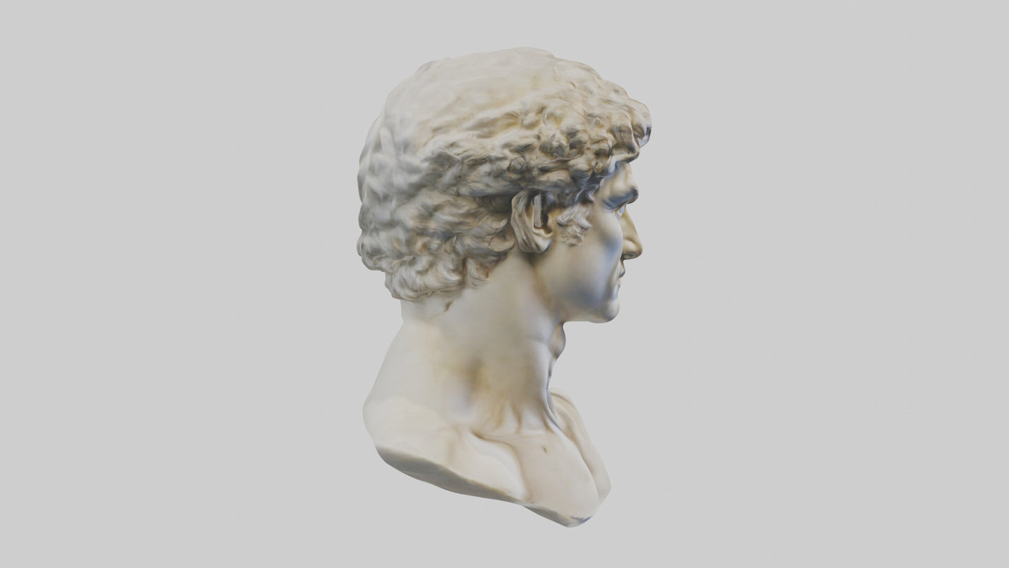 Michelangelos David bust model VR / AR / low-poly