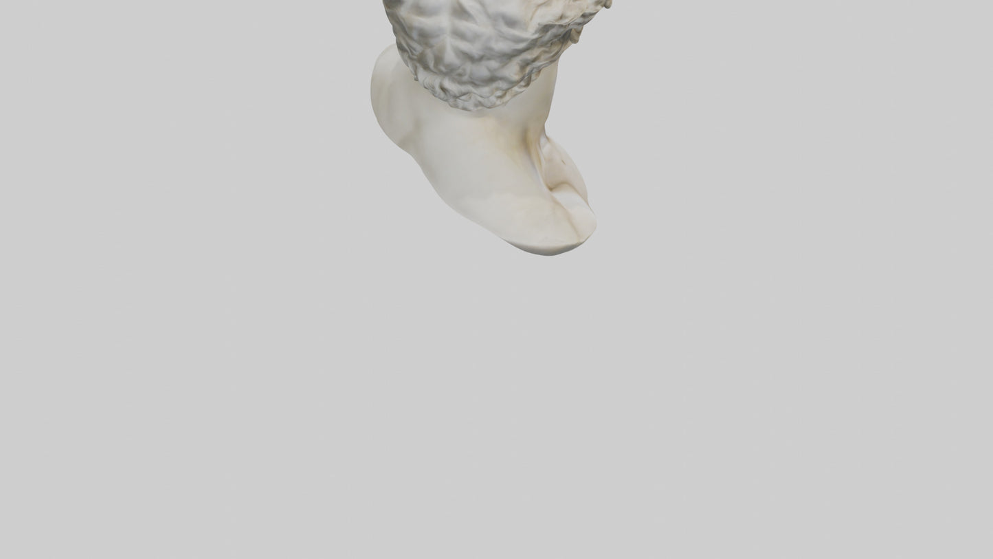 Michelangelos David bust model VR / AR / low-poly