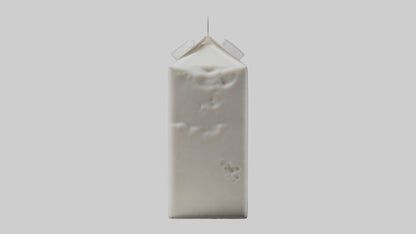 3D model Milk Carton model VR / AR / low-poly