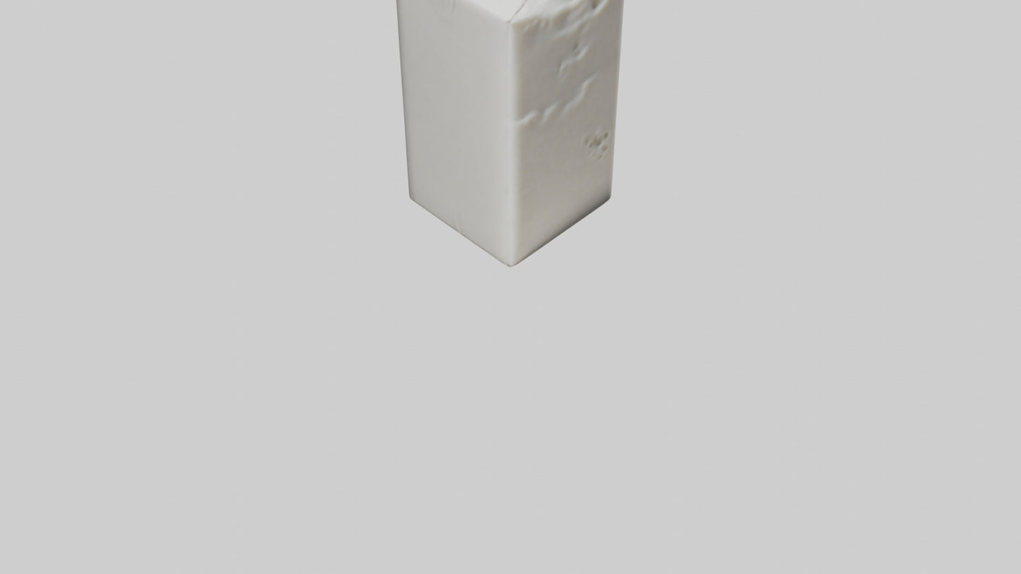 3D model Milk Carton model VR / AR / low-poly