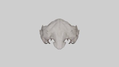 Mindless Beast model VR / AR / low-poly