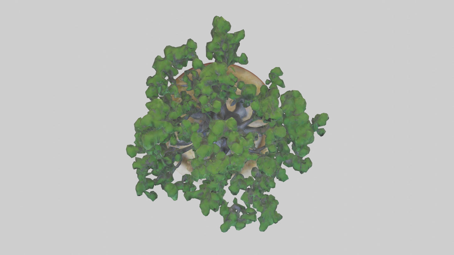 Miniature tree sculpture model 3D model