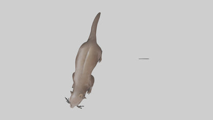 Mink swimming model 3D model