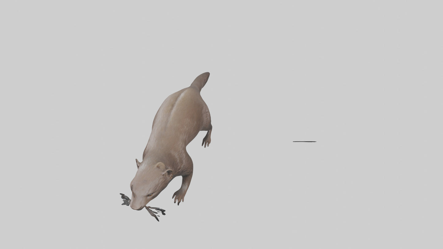 Mink swimming model 3D model