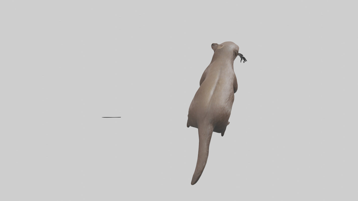 Mink swimming model 3D model