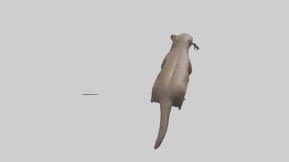 Mink swimming model 3D model