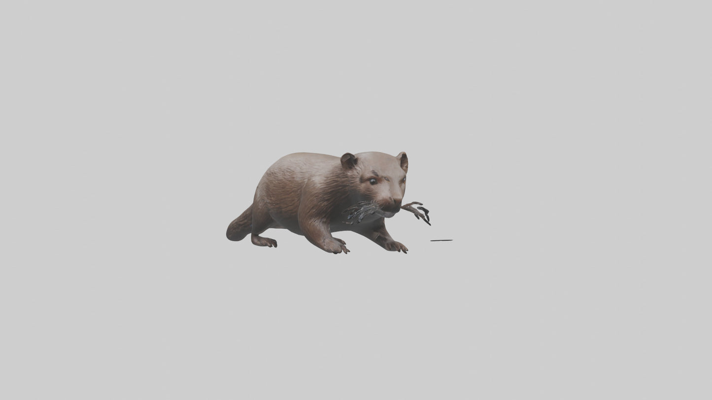 Mink swimming model 3D model