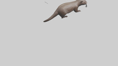 Mink swimming model 3D model