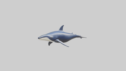 Minke Whale statue model 3D model