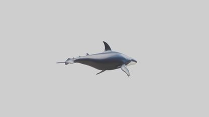 Minke Whale statue model 3D model