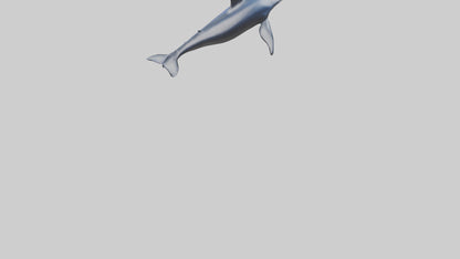 Minke Whale statue model 3D model