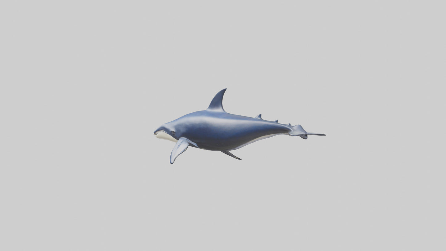 Minke Whale statue model 3D model