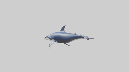 Minke Whale statue model 3D model