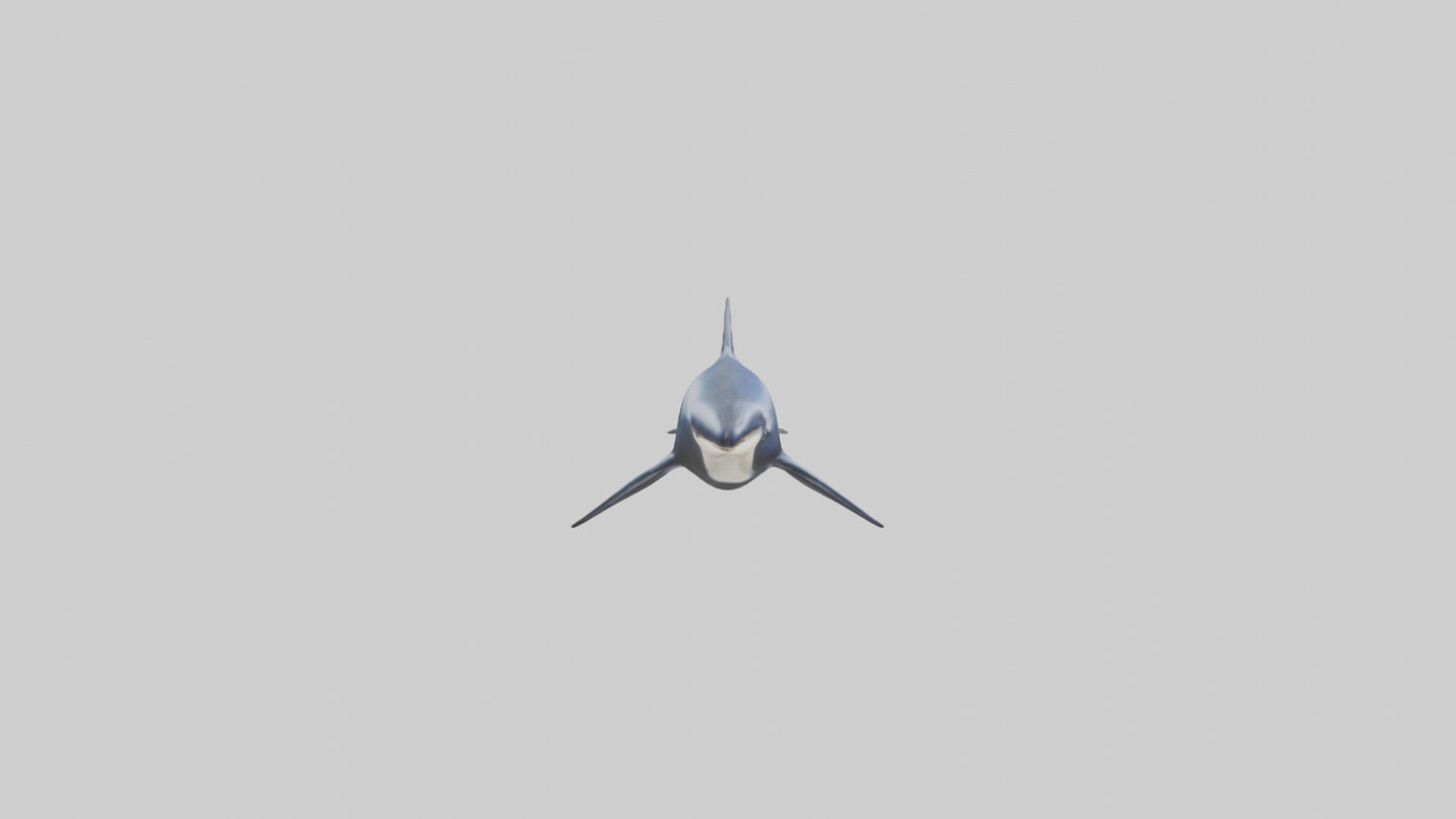 Minke Whale statue model 3D model