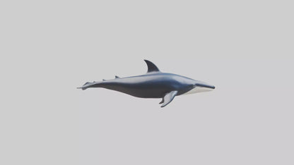 Minke Whale statue model 3D model