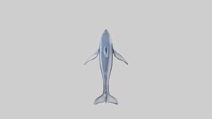Minke Whale statue model 3D model