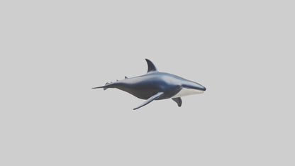 Minke Whale statue model 3D model