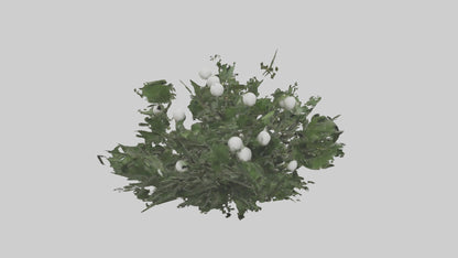 3D model Mistletoe Model VR / AR / low-poly