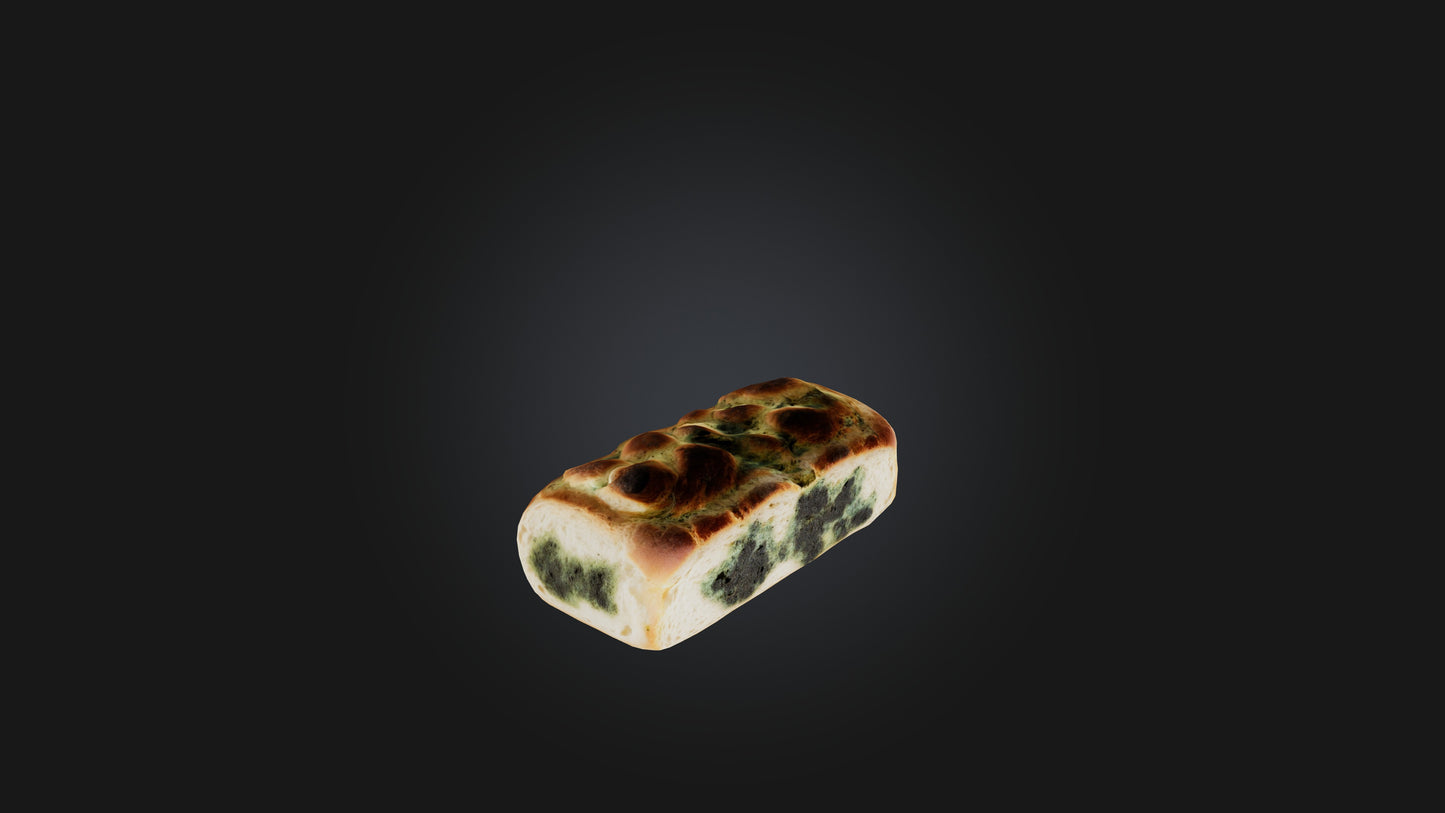 3D model Moldy Bread VR / AR / low-poly