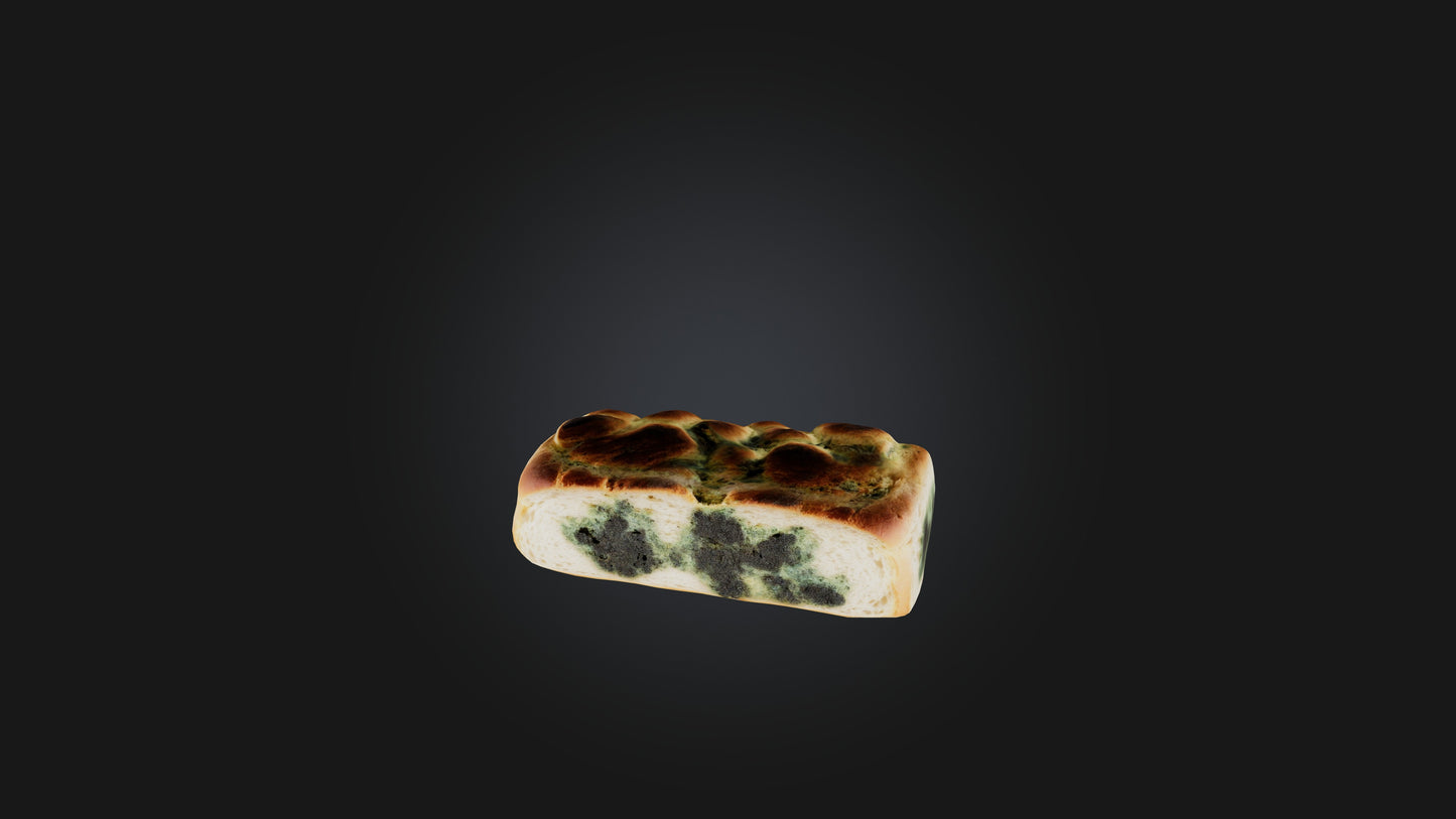 3D model Moldy Bread VR / AR / low-poly