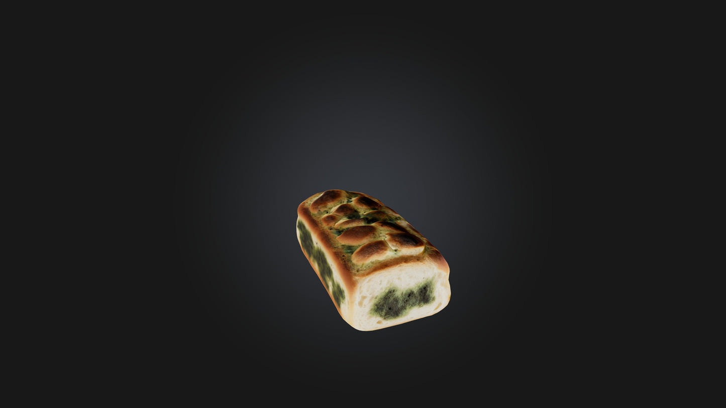 3D model Moldy Bread VR / AR / low-poly