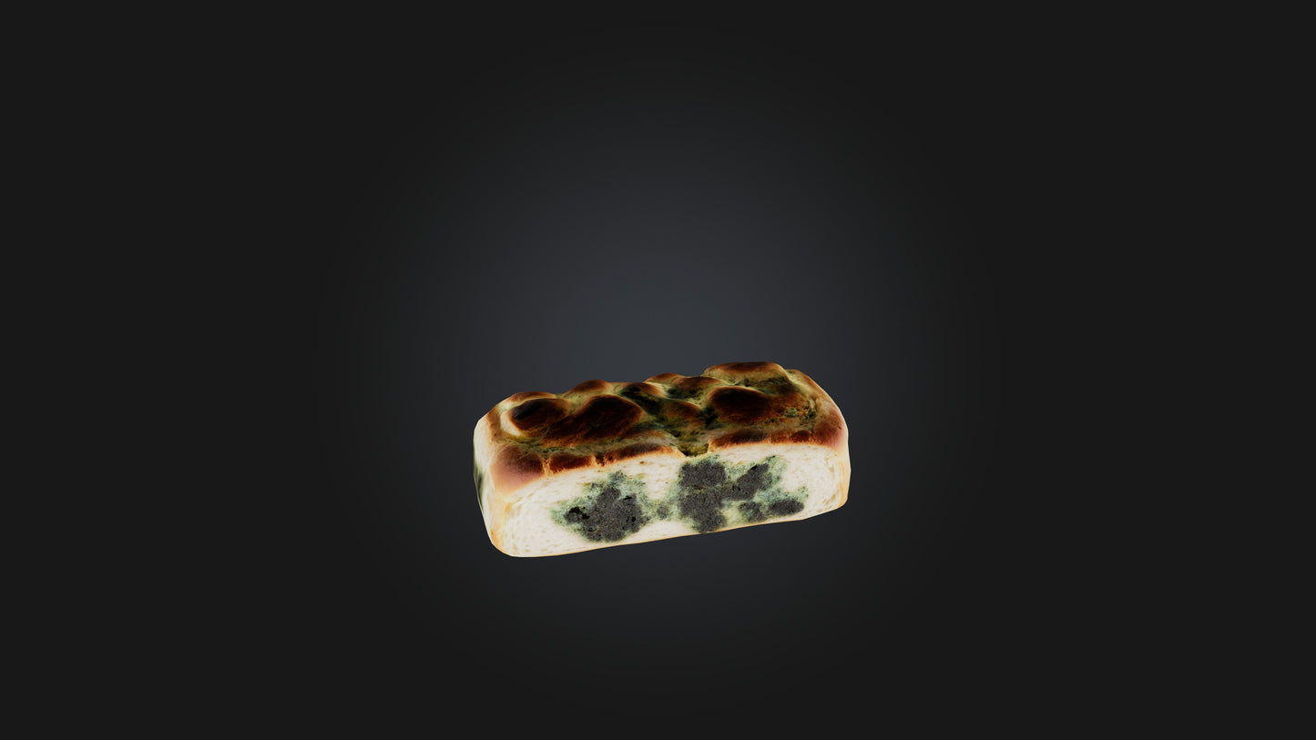 3D model Moldy Bread VR / AR / low-poly