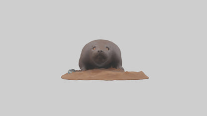 Mole digging model 3D model