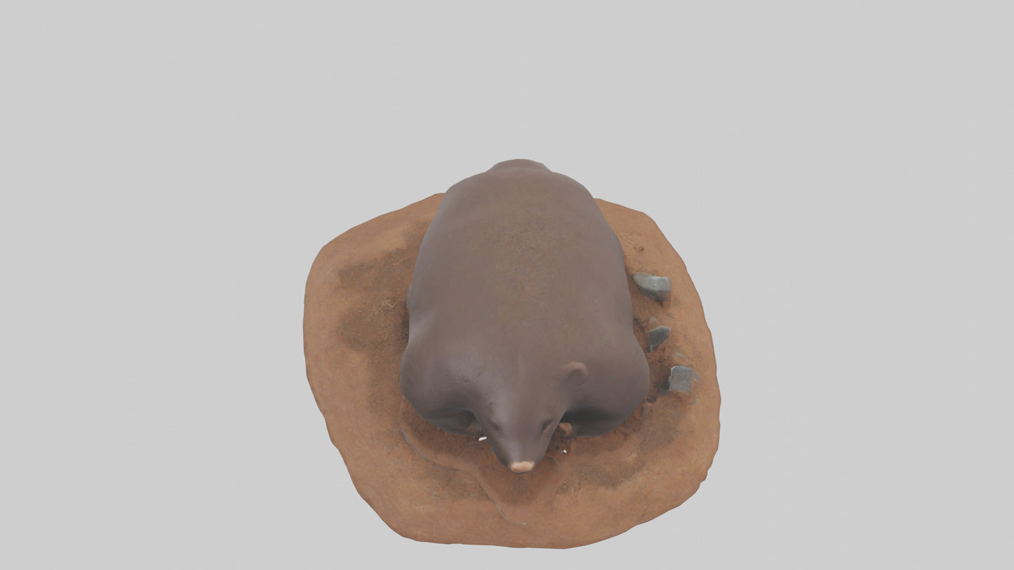 Mole digging model 3D model