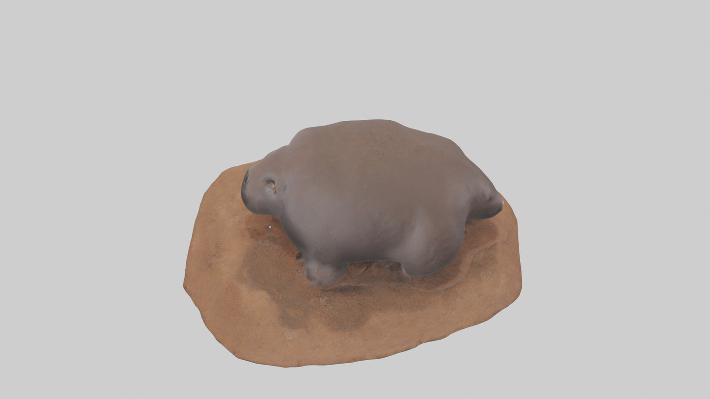 Mole digging model 3D model