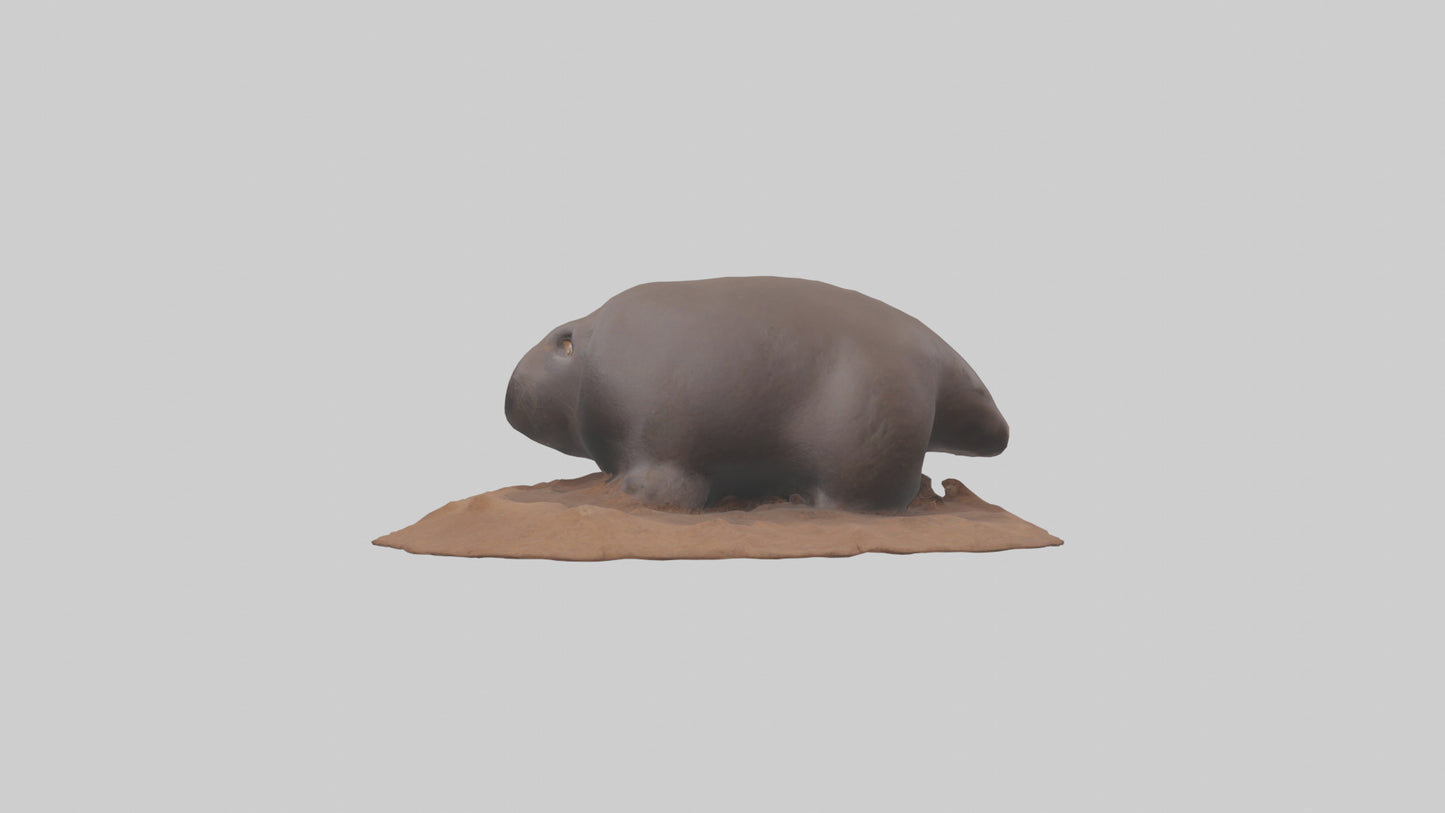 Mole digging model 3D model
