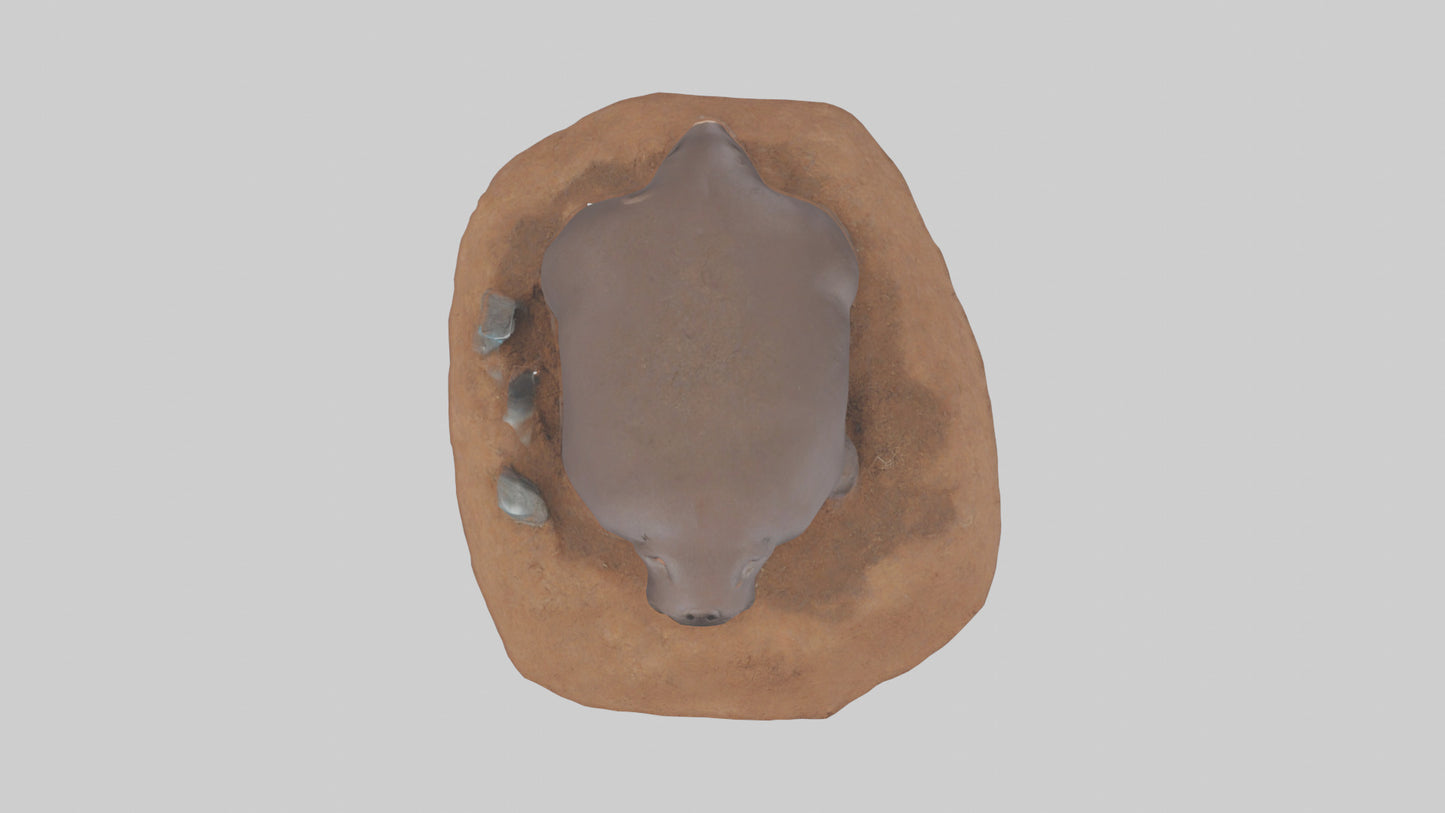 Mole digging model 3D model