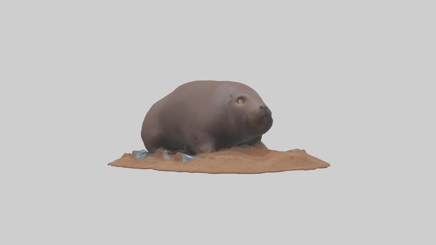 Mole digging model 3D model