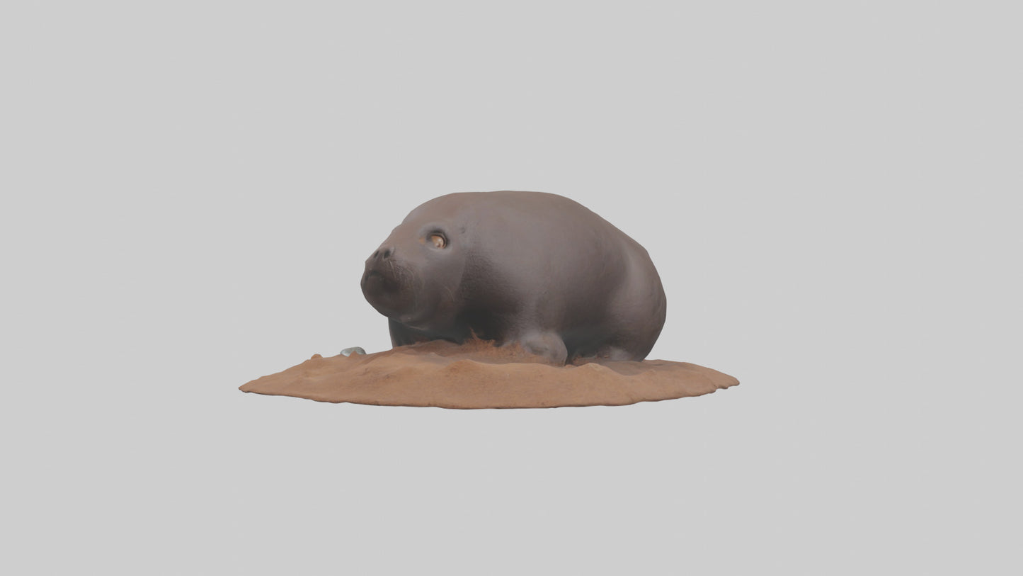 Mole digging model 3D model