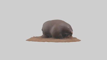 Mole digging model 3D model
