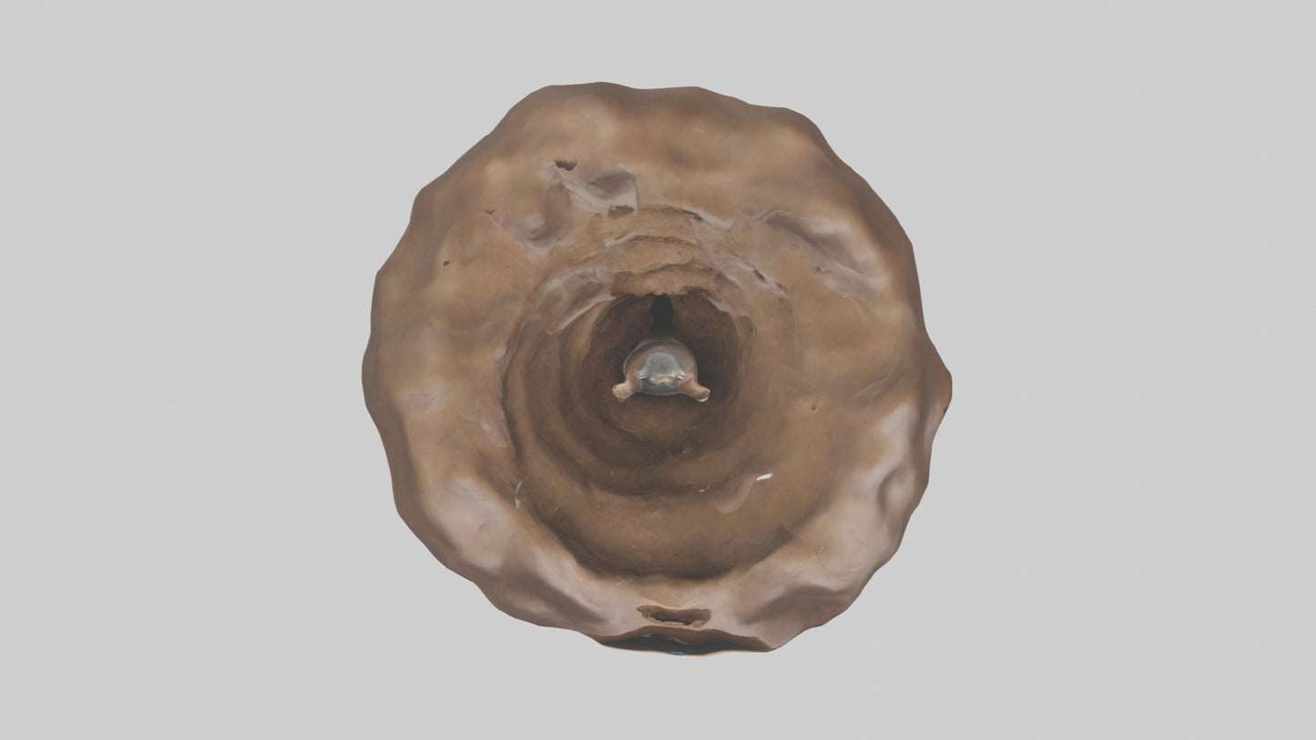 Mole tunneling model 3D model