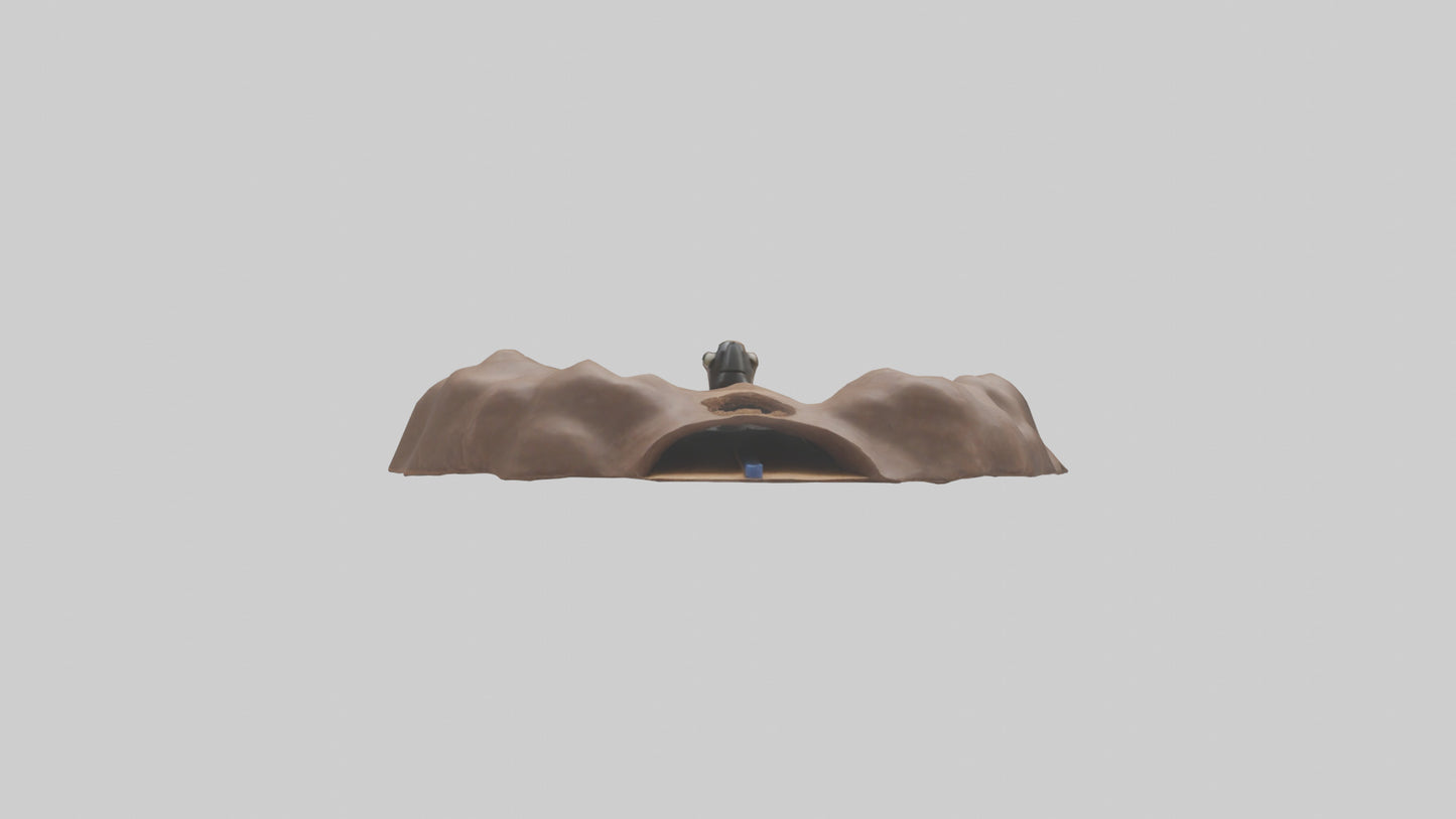 Mole tunneling model 3D model
