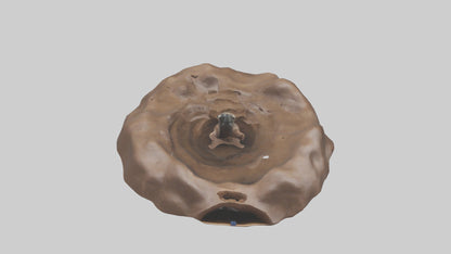 Mole tunneling model 3D model