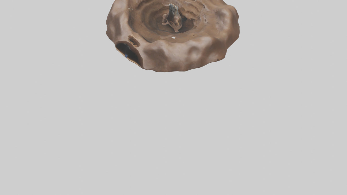 Mole tunneling model 3D model