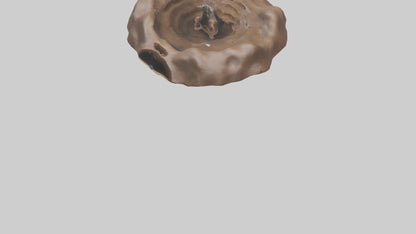 Mole tunneling model 3D model