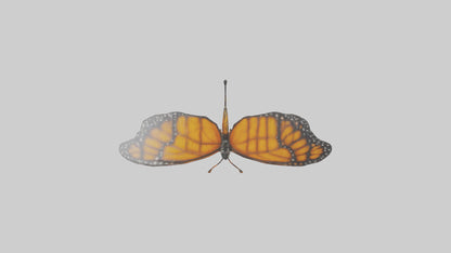 Monarch Butterfly flying model 3D model