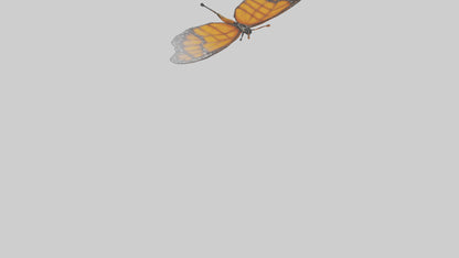 Monarch Butterfly flying model 3D model