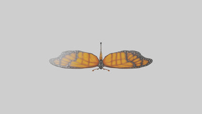Monarch Butterfly flying model 3D model