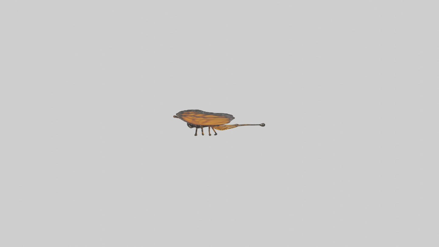 Monarch Butterfly flying model 3D model