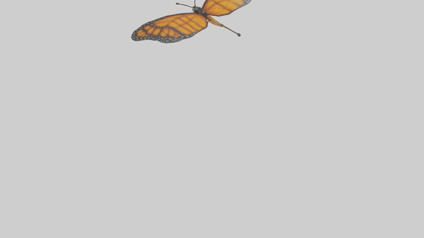 Monarch Butterfly flying model 3D model