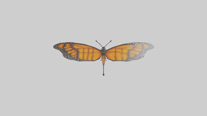 Monarch Butterfly flying model 3D model