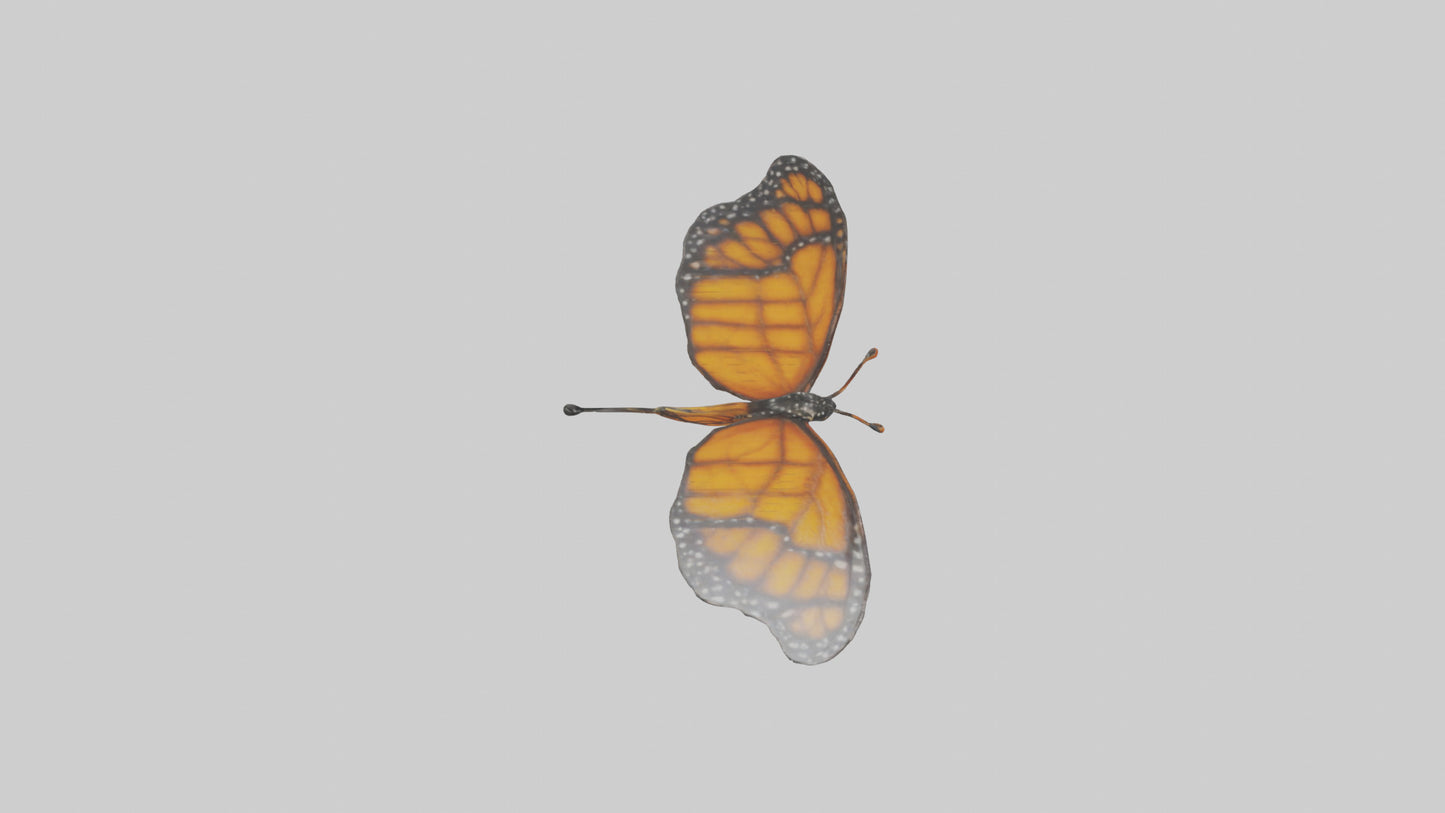 Monarch Butterfly flying model 3D model