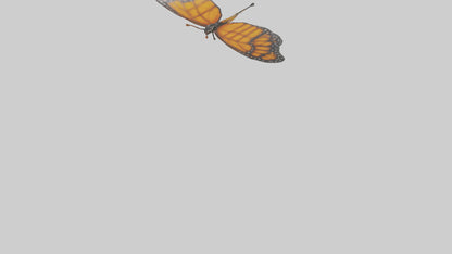 Monarch Butterfly flying model 3D model